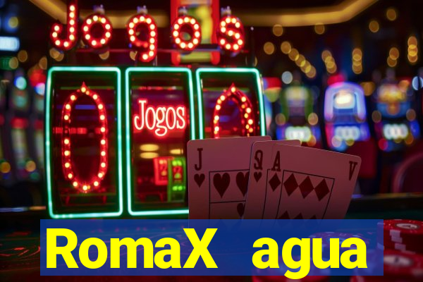 RomaX agua sanitaria fispq agua sanitaria romax