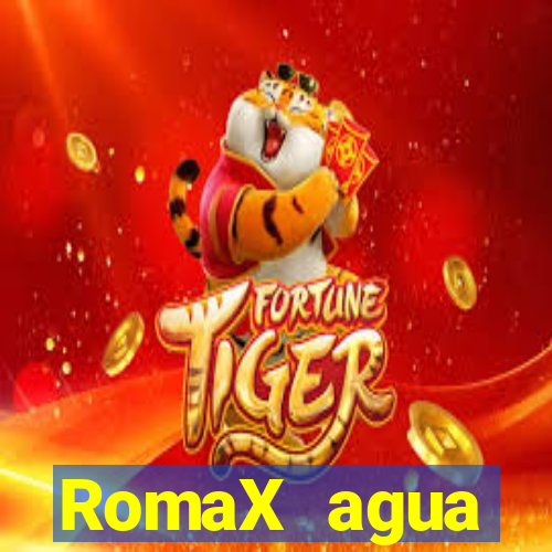 RomaX agua sanitaria fispq agua sanitaria romax