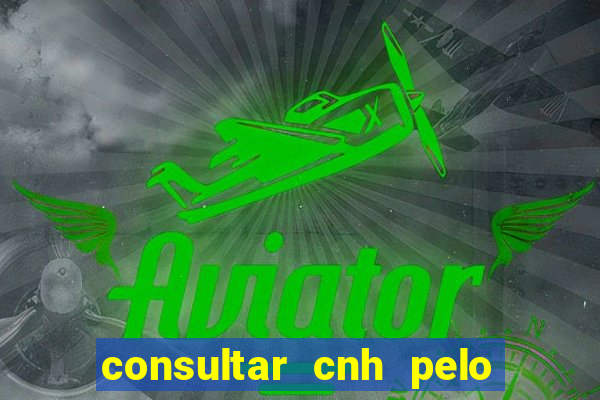 consultar cnh pelo cpf sp