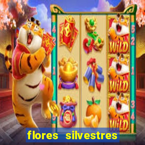 flores silvestres desbravadores desbravadores 25 flores silvestres e seus nomes