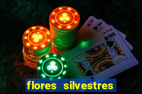 flores silvestres desbravadores desbravadores 25 flores silvestres e seus nomes