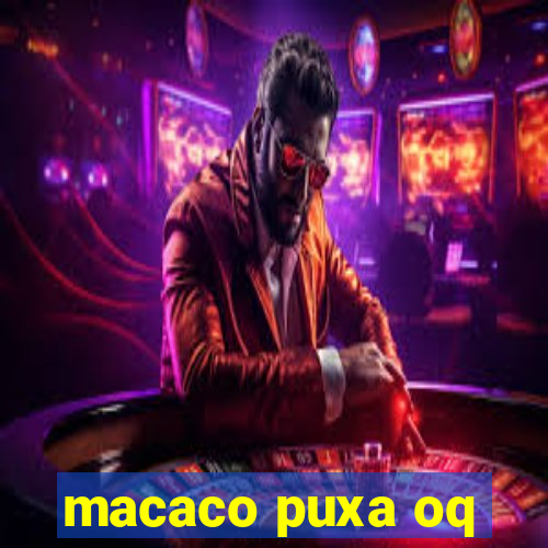 macaco puxa oq