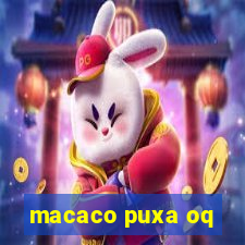 macaco puxa oq