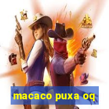 macaco puxa oq