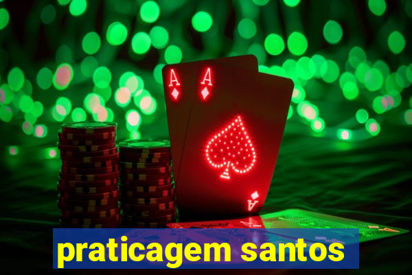 praticagem santos