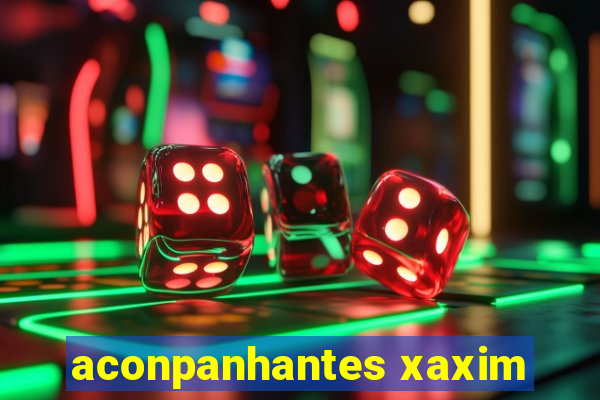 aconpanhantes xaxim