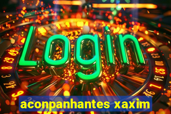 aconpanhantes xaxim