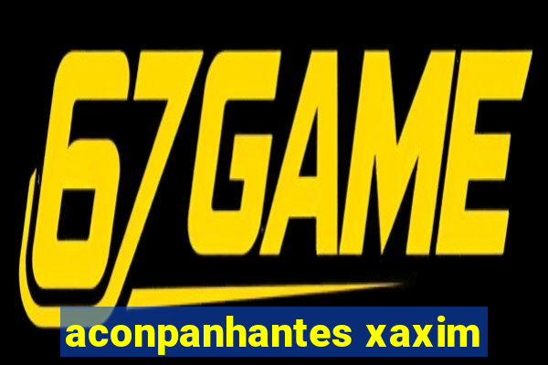 aconpanhantes xaxim