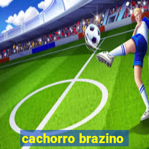 cachorro brazino