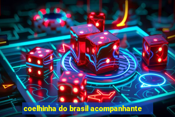 coelhinha do brasil acompanhante