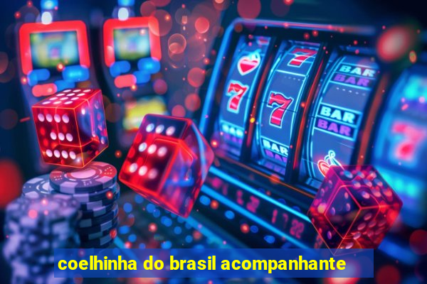 coelhinha do brasil acompanhante