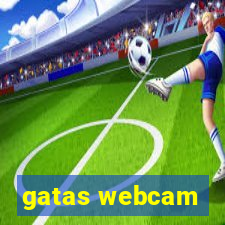 gatas webcam