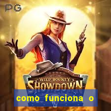 como funciona o fortune rabbit