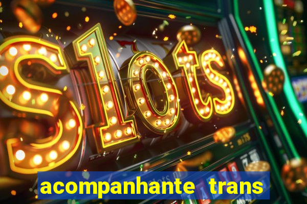 acompanhante trans porto seguro