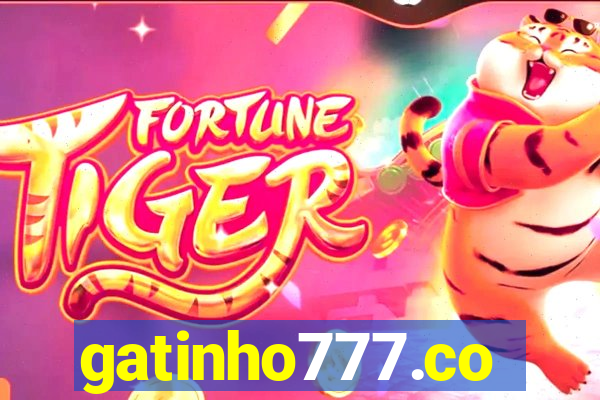 gatinho777.co