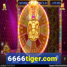 6666tiger.com