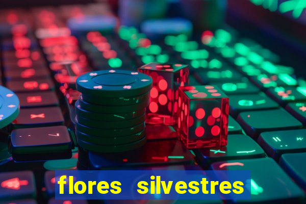 flores silvestres desbravadores desbravadores 25