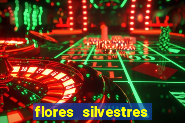 flores silvestres desbravadores desbravadores 25