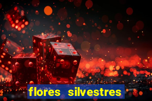 flores silvestres desbravadores desbravadores 25