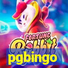 pgbingo