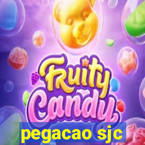 pegacao sjc