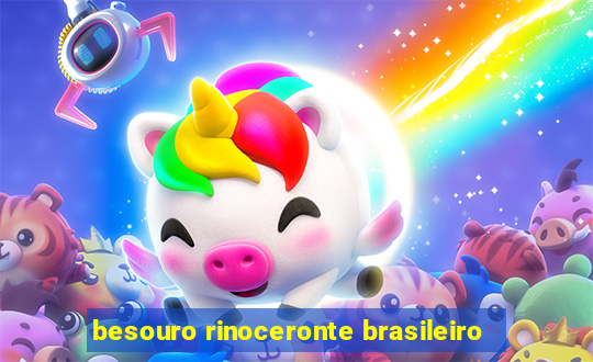 besouro rinoceronte brasileiro