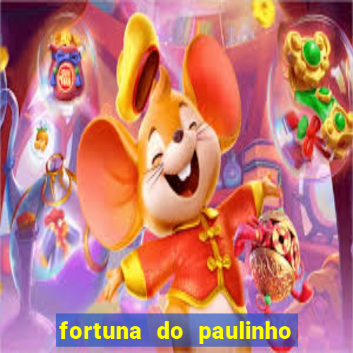 fortuna do paulinho do roupa nova