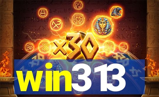 win313