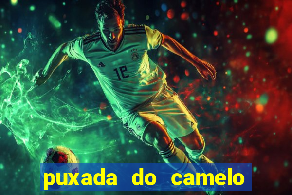 puxada do camelo no jogo do bicho