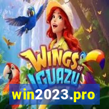 win2023.pro