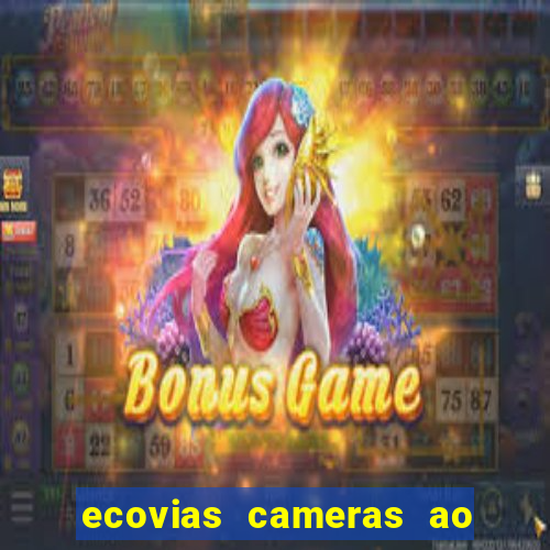 ecovias cameras ao vivo santos