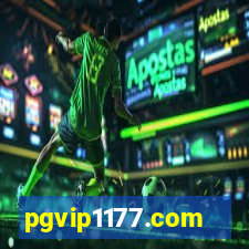 pgvip1177.com