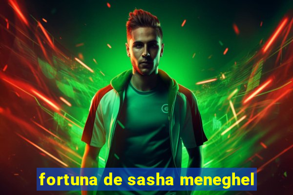 fortuna de sasha meneghel