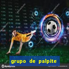 grupo de palpite de futebol telegram