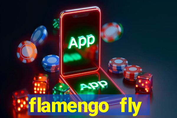 flamengo fly emirates ultimas noticias