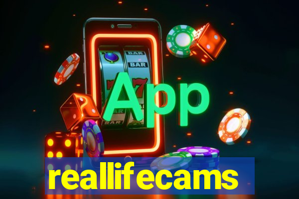 reallifecams