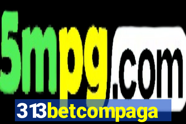 313betcompaga