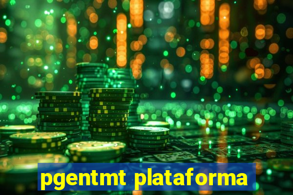 pgentmt plataforma