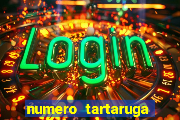 numero tartaruga jogo do bicho