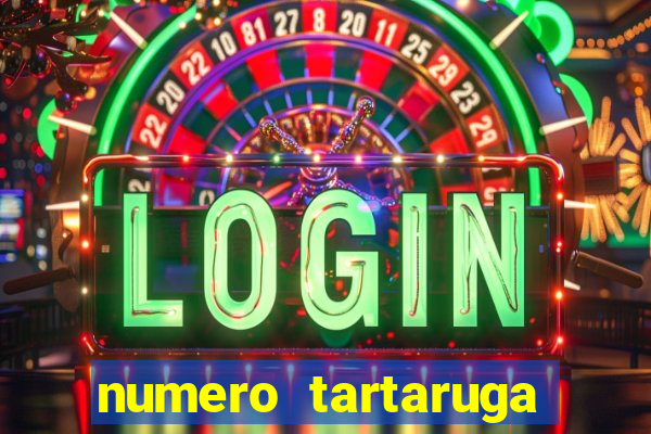 numero tartaruga jogo do bicho