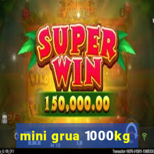 mini grua 1000kg