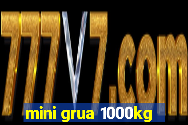 mini grua 1000kg