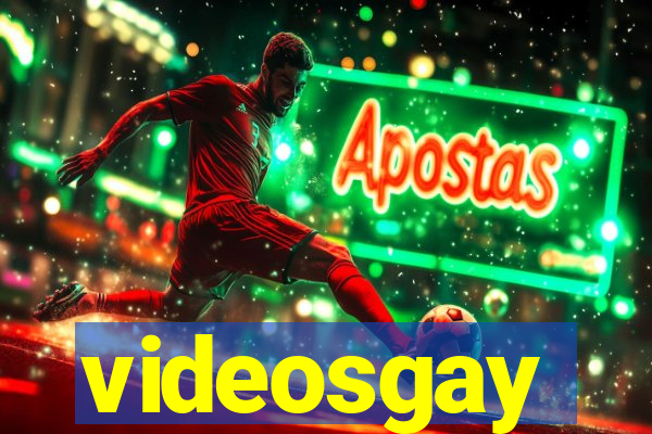 videosgay