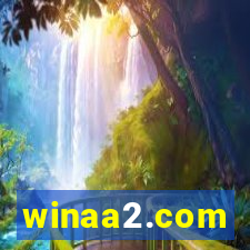 winaa2.com