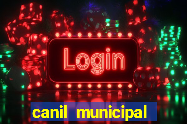 canil municipal porto alegre