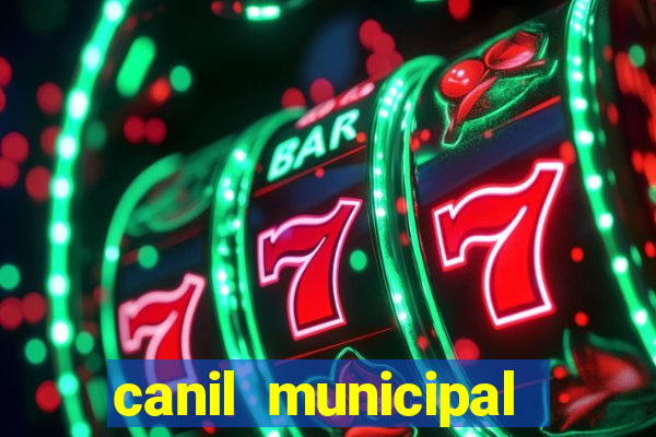 canil municipal porto alegre