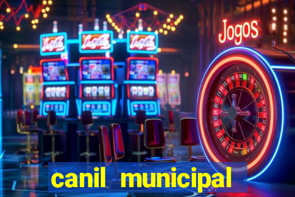 canil municipal porto alegre