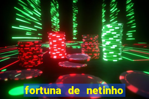 fortuna de netinho de paula