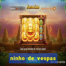 ninho de vespas significado espiritual