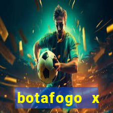 botafogo x palmeiras futemax